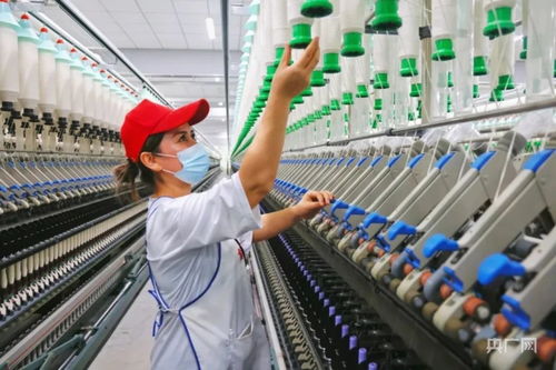 看博州如何 織 出新圖景 央廣網(wǎng)