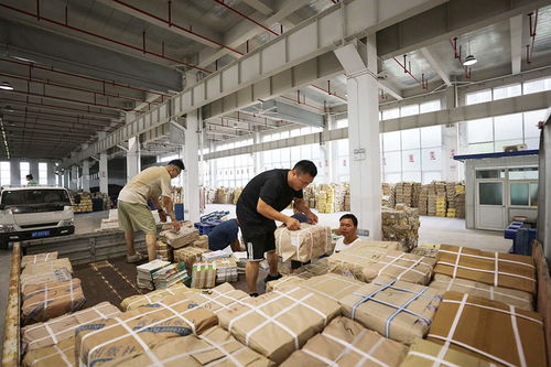 組圖丨備教材,迎開學